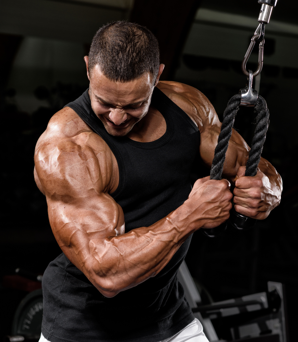 Gym Workout App Development Image