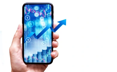Investment in Cryptocurrency Icon
